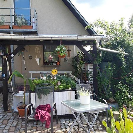 Ferienwohnung Auf Dem Land Rochlitz Екстер'єр фото