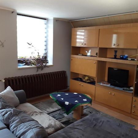 Ferienwohnung Auf Dem Land Rochlitz Екстер'єр фото