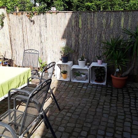 Ferienwohnung Auf Dem Land Rochlitz Екстер'єр фото