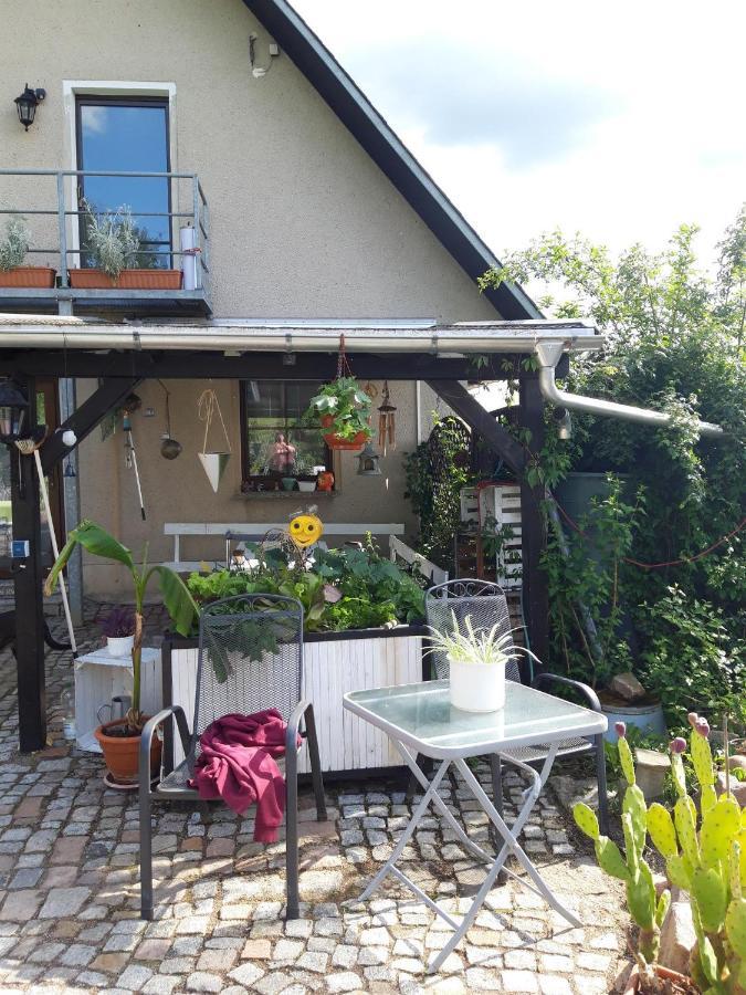 Ferienwohnung Auf Dem Land Rochlitz Екстер'єр фото