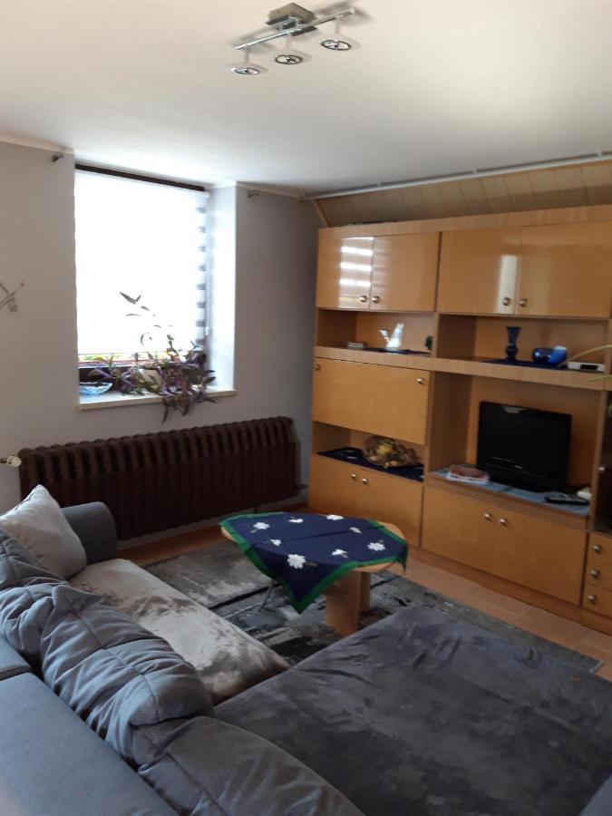 Ferienwohnung Auf Dem Land Rochlitz Екстер'єр фото