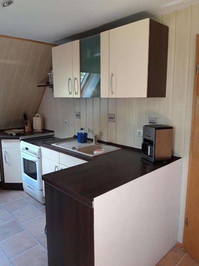 Ferienwohnung Auf Dem Land Rochlitz Екстер'єр фото
