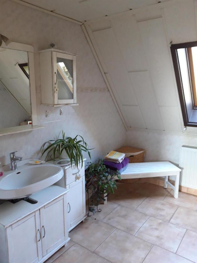 Ferienwohnung Auf Dem Land Rochlitz Екстер'єр фото