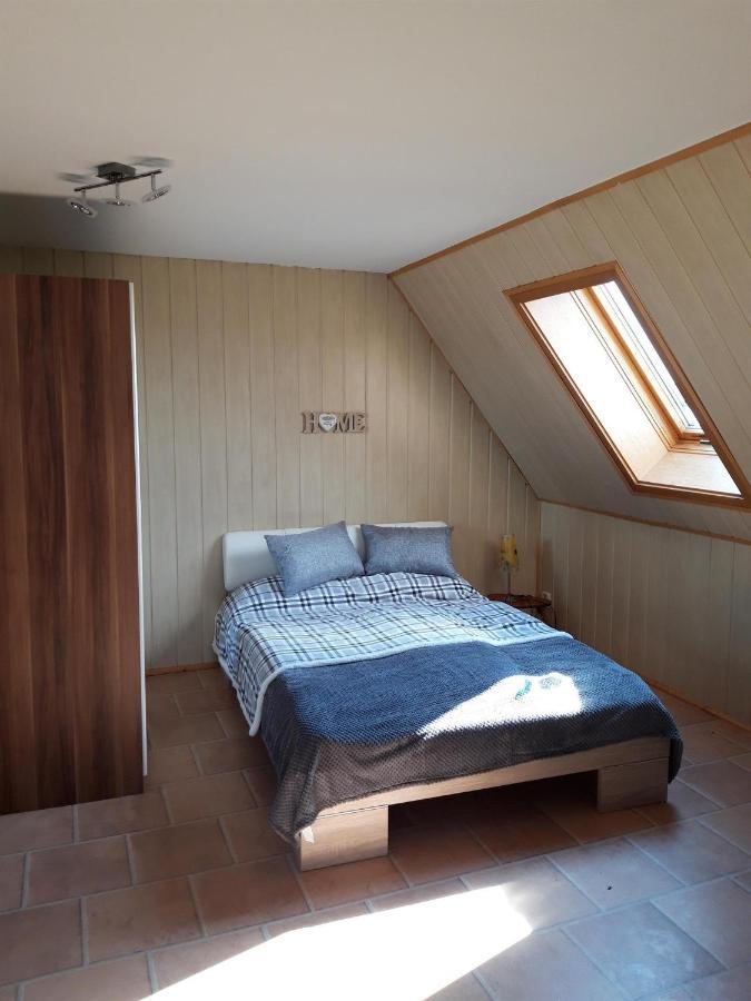 Ferienwohnung Auf Dem Land Rochlitz Екстер'єр фото